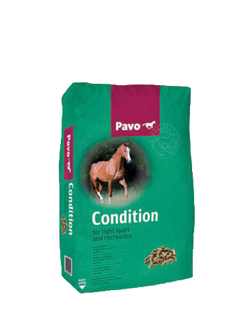 Pavo - Condition 20kg