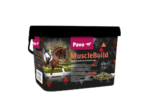 Pavo - MuscleBuild 3kg