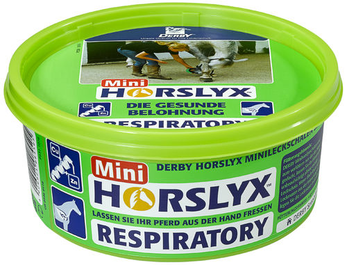 DERBY - Horslyx Respiratory 650g